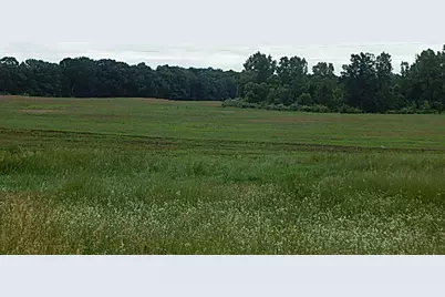 1611 E Hyde Road, Saint Johns, MI 48879 - Photo 3