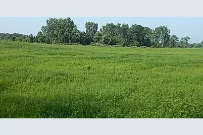 1611 E Hyde Road, Saint Johns, MI 48879 - Photo 9