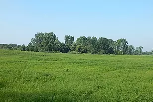 1611 E Hyde Rd, Saint Johns, MI 48879 - Photo 9