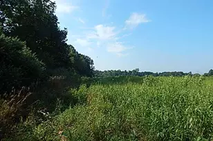 1611 E Hyde Rd, Saint Johns, MI 48879 - Photo 11