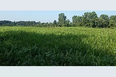 1611 E Hyde Road, Saint Johns, MI 48879 - Photo 13