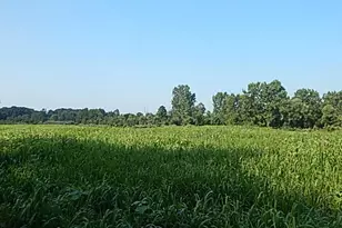 1611 E Hyde Rd, Saint Johns, MI 48879 - Photo 13