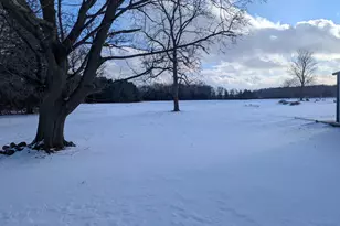 10101 Carpenter Rd, Flushing, MI 48433 - Photo 21