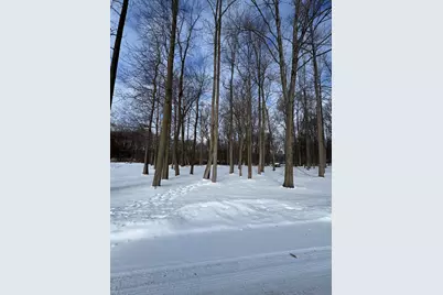 V/L Timberlane Drive, Jones, MI 49061 - Photo 7