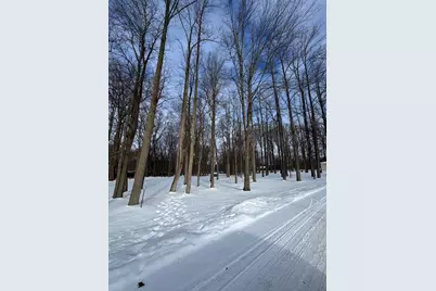 V/L Timberlane Drive, Jones, MI 49061 - Photo 5