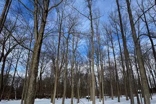 V/L Timberlane Dr, Jones, MI 49061 - Photo 1