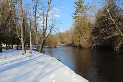 1132 N Meadowbrook Road, White Cloud, MI 49349 - Photo 35