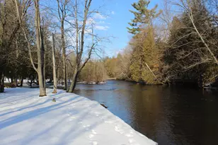 1132 N Meadowbrook Rd, White Cloud, MI 49349 - Photo 35