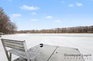 10999 Sandy Oak Trail, Cedar Springs, MI 49319 - Photo 37