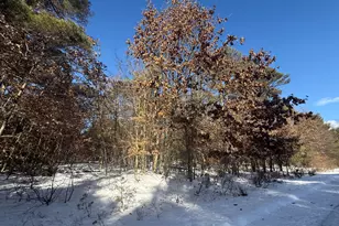 10934 Dobbyn Dr, Stanwood, MI 49346 - Photo 1