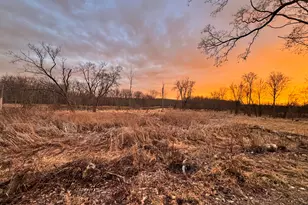 125 S Grove Street SE, Lowell, MI 49331 - Photo 33