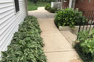 21687 Shiawassee Dr, Cassopolis, MI 49031 - Photo 17