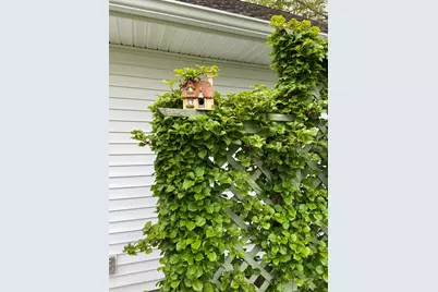 21687 Shiawassee Drive, Cassopolis, MI 49031 - Photo 59