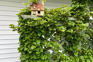 21687 Shiawassee Dr, Cassopolis, MI 49031 - Photo 59