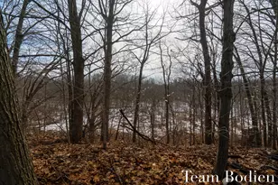 4842 Green Ridge Trail, Hamilton, MI 49419 - Photo 9