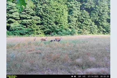 78720 County Road 376, Coloma, MI 49038 - Photo 67