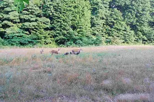 78720 Co Rd 376, Coloma, MI 49038 - Photo 67