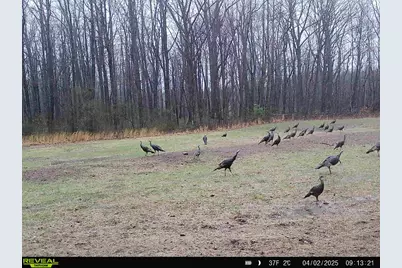 78720 County Road 376, Coloma, MI 49038 - Photo 75