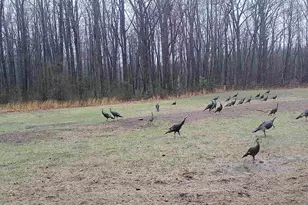 78720 Co Rd 376, Coloma, MI 49038 - Photo 75