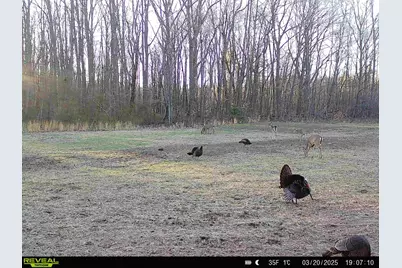 78720 County Road 376, Coloma, MI 49038 - Photo 77