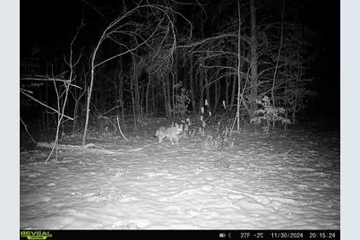 78720 County Road 376, Coloma, MI 49038 - Photo 79