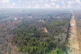 78720 Co Rd 376, Coloma, MI 49038 - Photo 55