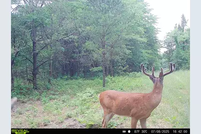 78720 County Road 376, Coloma, MI 49038 - Photo 65