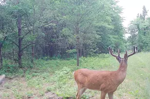 78720 Co Rd 376, Coloma, MI 49038 - Photo 65