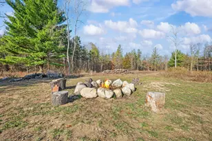 78720 Co Rd 376, Coloma, MI 49038 - Photo 45