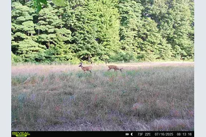 78720 County Road 376, Coloma, MI 49038 - Photo 69