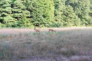 78720 Co Rd 376, Coloma, MI 49038 - Photo 69