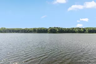 6525 Woods Trail Dr, Delton, MI 49046 - Photo 9