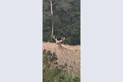 19495 V Drive N, Olivet, MI 49076 - Photo 3