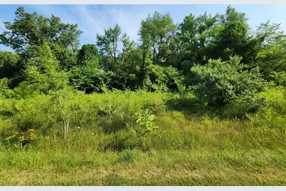 Shorewood Drive #Lot 2, Three Rivers, MI 49093 - Photo 3