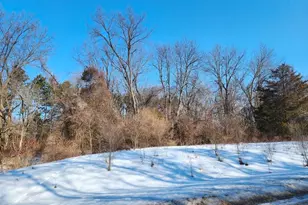 Shorewood Dr, Three Rivers, MI 49093 - Photo 1