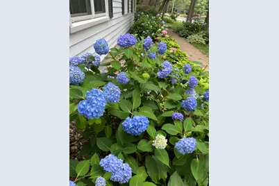 3131 Howlett Drive SE, Ada, MI 49301 - Photo 29