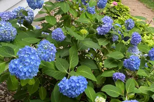 3131 Howlett Dr SE, Ada, MI 49301 - Photo 29