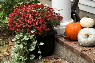 3131 Howlett Dr SE, Ada, MI 49301 - Photo 31