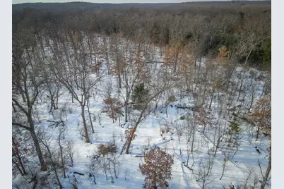 2043 N Peacock Trail, Irons, MI 49644 - Photo 7