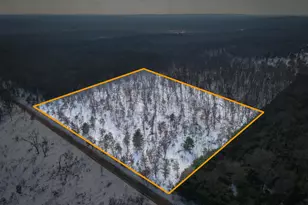 2043 N Peacock Trail, Irons, MI 49644 - Photo 1