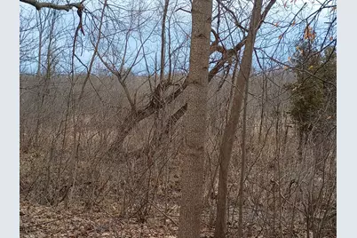 V/L 52nd Street, Bangor, MI 49013 - Photo 13