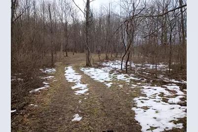 V/L 52nd Street, Bangor, MI 49013 - Photo 7