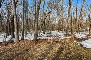 61404 Whitetail Run, Mattawan, MI 49071 - Photo 29