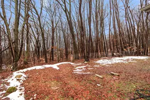 1938 Lincoln Rd, Allegan, MI 49010 - Photo 41