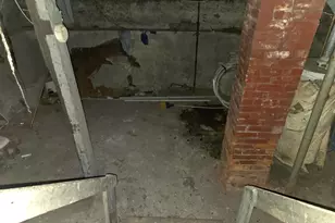 528 Potter St, Kalamazoo, MI 49007 - Photo 17