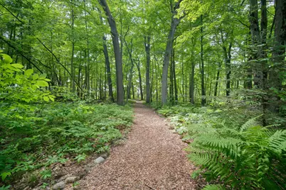 7003 Sanctuary Drive, Jackson, MI 49201 - Photo 17