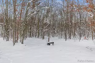 1072 N Bingham Ave, White Cloud, MI 49349 - Photo 47