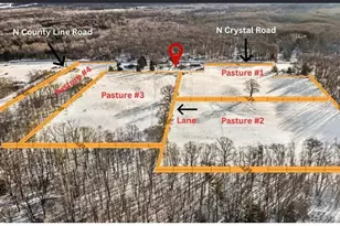 11851 N Crystal Rd, Vestaburg, MI 48891 - Photo 7