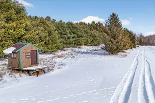 7222 Beahan Rd, Hubbardston, MI 48845 - Photo 79