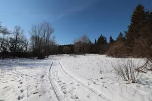 [Address not provided], Greenville, MI 48838 - Photo 1